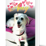 Amy, um livro de Leandro Serpa