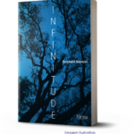 "Infinitude", um livro de Rosmeri Menzel